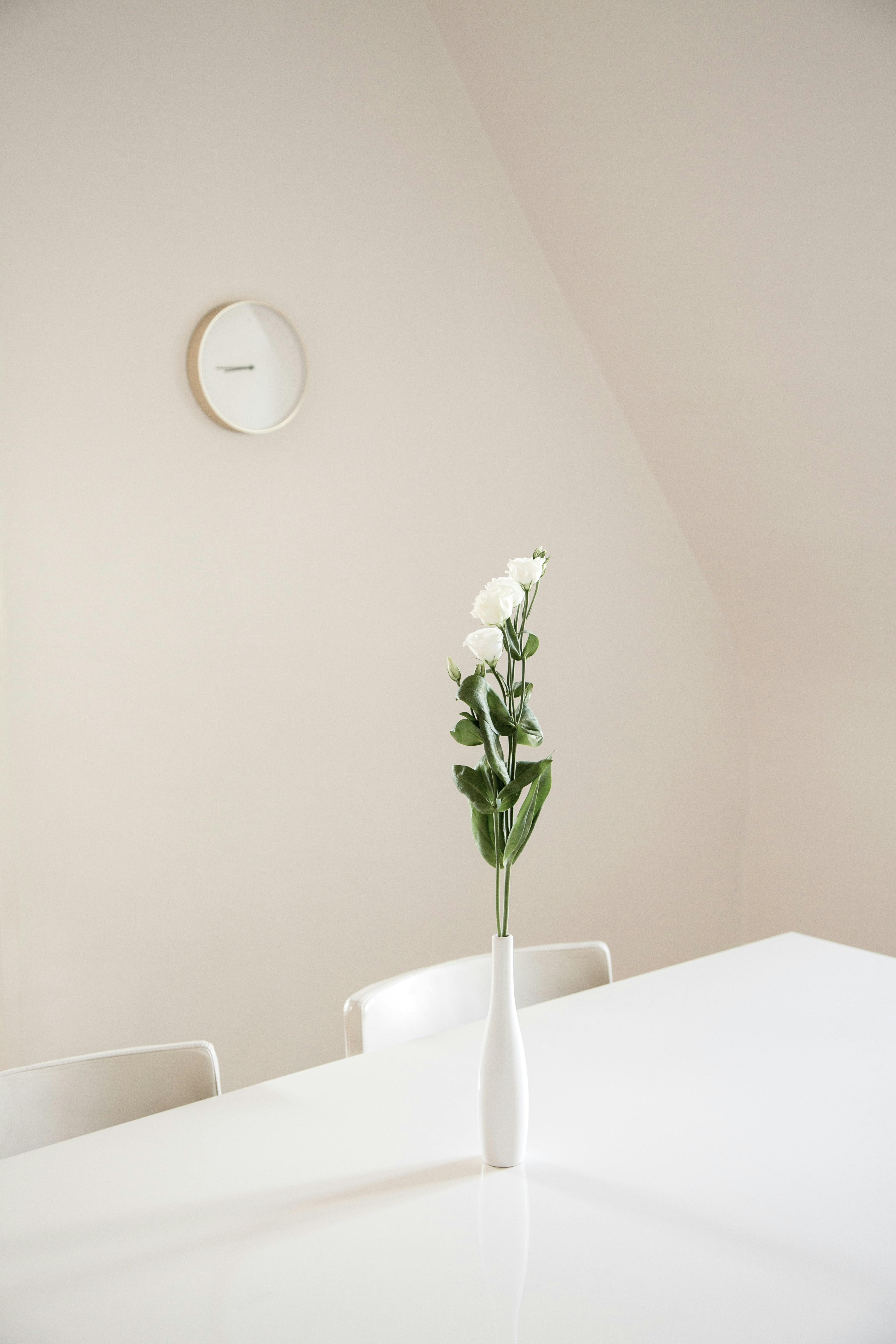 Cleaning Service